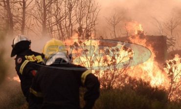 Πυροσβεστική: Δεν μπορούμε να μιλάμε για εμπρησμούς – Τα αίτια δεν έχουν διερευνηθεί