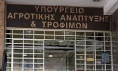 Αποστόλου: Όχι σε κάθε μορφή επανεθνικοποίησης της ΚΑΠ