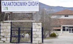 Ξεκινούν οι εγγραφές στις Επαγγελματικές Σχολές του ΕΛΓΟ Δήμητρα