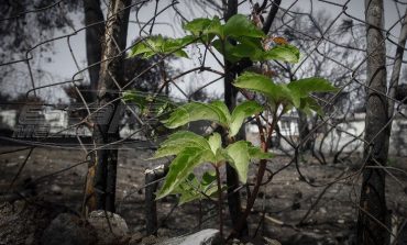 Έκθεση για το Μάτι: Λανθασμένη εκτίμηση της φωτιάς - Τι έπρεπε να γίνει για να μην θρηνήσουμε νεκρούς