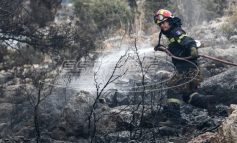 Φωτιά στην Εύβοια: Άρση τηλεφωνικού απορρήτου ζητούν οι αρχές - Σαφείς ενδείξεις εμπρησμού - Από στουπιά μέχρι γκαζάκια βρέθηκαν στο σημείο