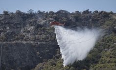 Πενήντα τρεις δασικές πυρκαγιές εκδηλώθηκαν το τελευταίο 24ωρο σε όλη την Ελλάδα