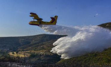 Φωτιά σε δασική έκταση στο Μαραθώνα