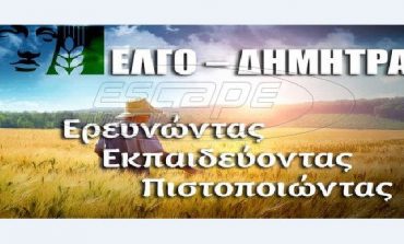 Ξεκινούν οι εγγραφές στις Επαγγελματικές Σχολές του ΕΛΓΟ Δήμητρα